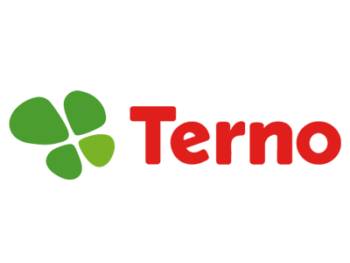 Terno